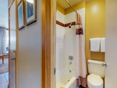 Breckenridge Condo 938216