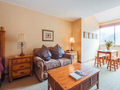 Breckenridge Condo 938218