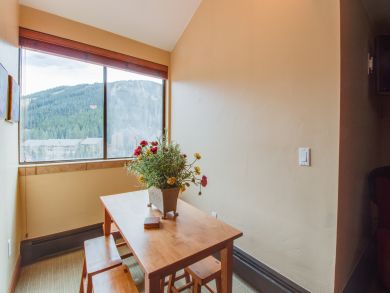 Breckenridge Condo 938218