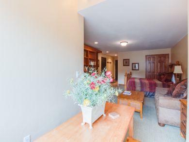Breckenridge Condo 938218