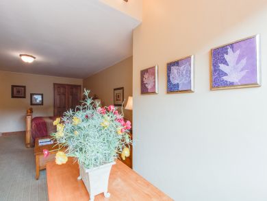 Breckenridge Condo 938218