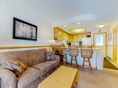 Breckenridge Condo 938224 Breckenridge Condo 938224