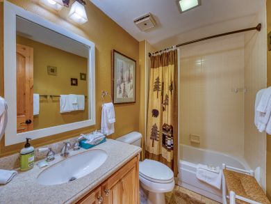 Breckenridge Condo 938225