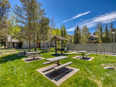 Breckenridge Condo 938225