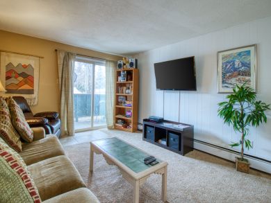 Breckenridge Condo 938228