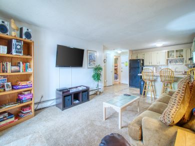 Breckenridge Condo 938228