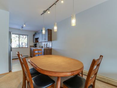 Breckenridge Condo 938233