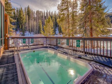 Breckenridge Condo 938236