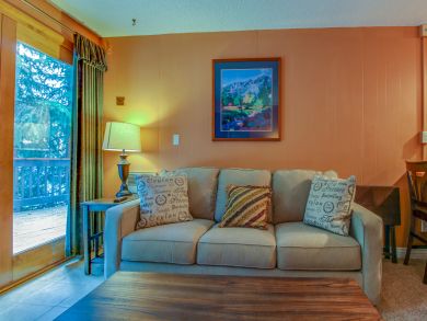 Breckenridge Condo 938236