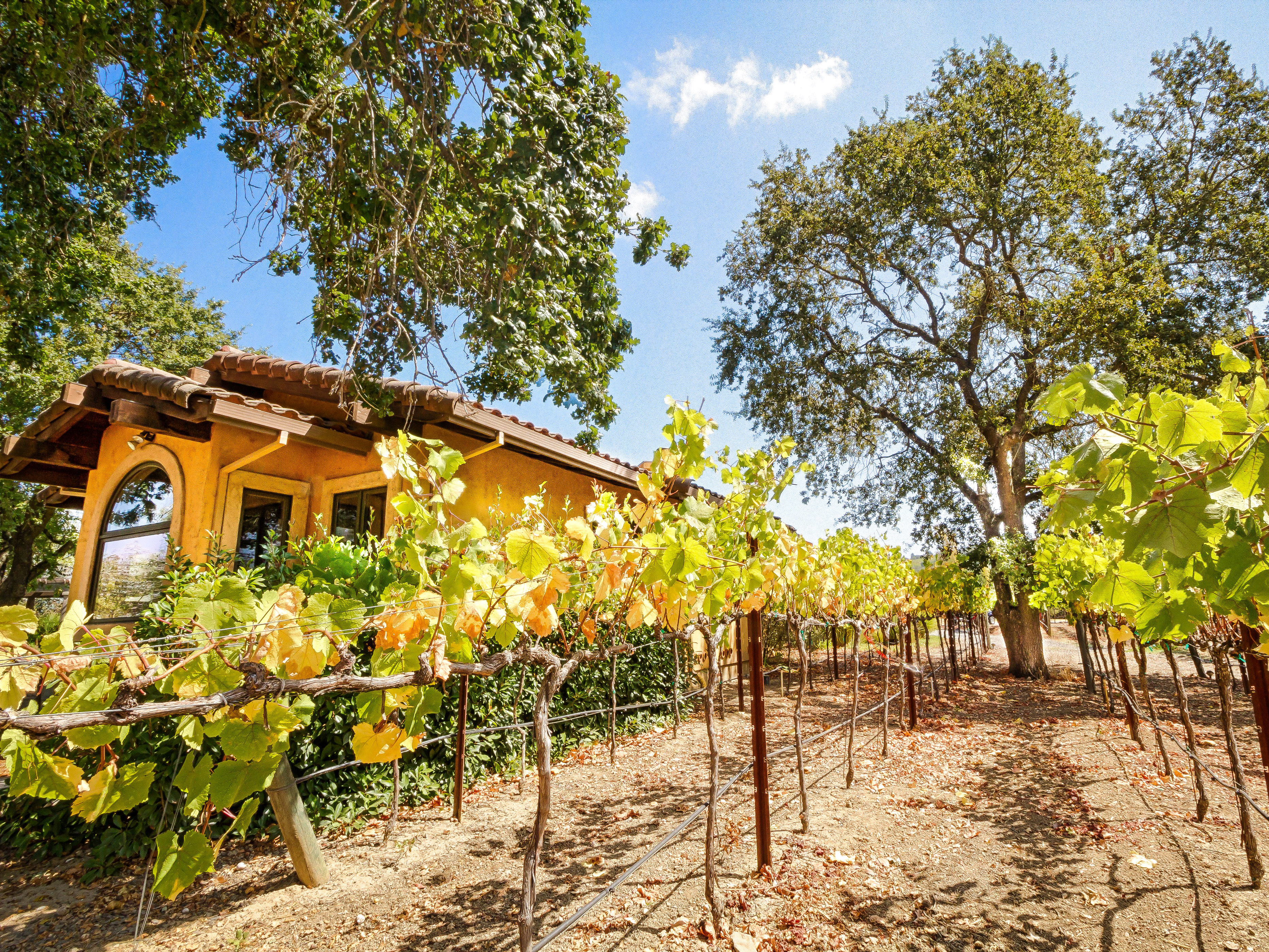 Wine Country 4 Bedroom Secluded Estate