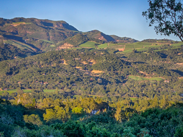 Sonoma Hills Luxury Vacation Retreat