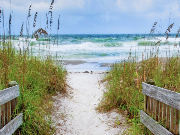 Lido Key Vacation Rentals with Private Pool - Luxury Lido Key Beach House