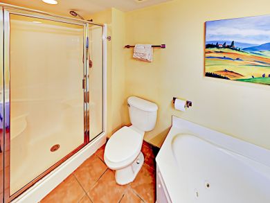 Myrtle Beach North Myrtle Beach Condo 938925