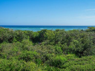 Beaches Of South Walton Condo 939118