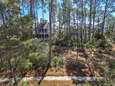 Beaches Of South Walton Home 939121