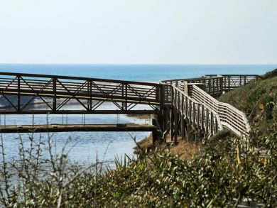 Beaches Of South Walton Home 939121