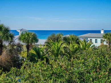 Beaches Of South Walton Home 939168