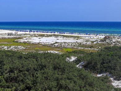 Beaches Of South Walton Condo 939173