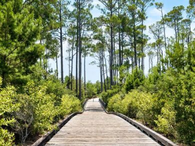Beaches Of South Walton Home 939178