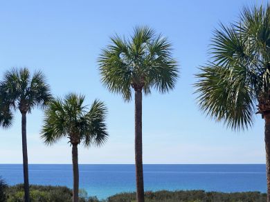 Beaches Of South Walton Home 939182