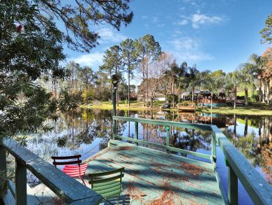 Palm Coast Home 939210