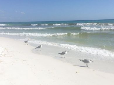 Destin Condo 939221