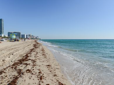 Miami Beach Condo 939315 Miami Beach Condo 939315