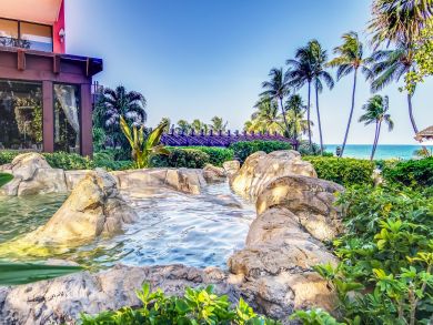 Miami Beach Condo 939338