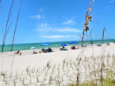Treasure Island Condo 939371