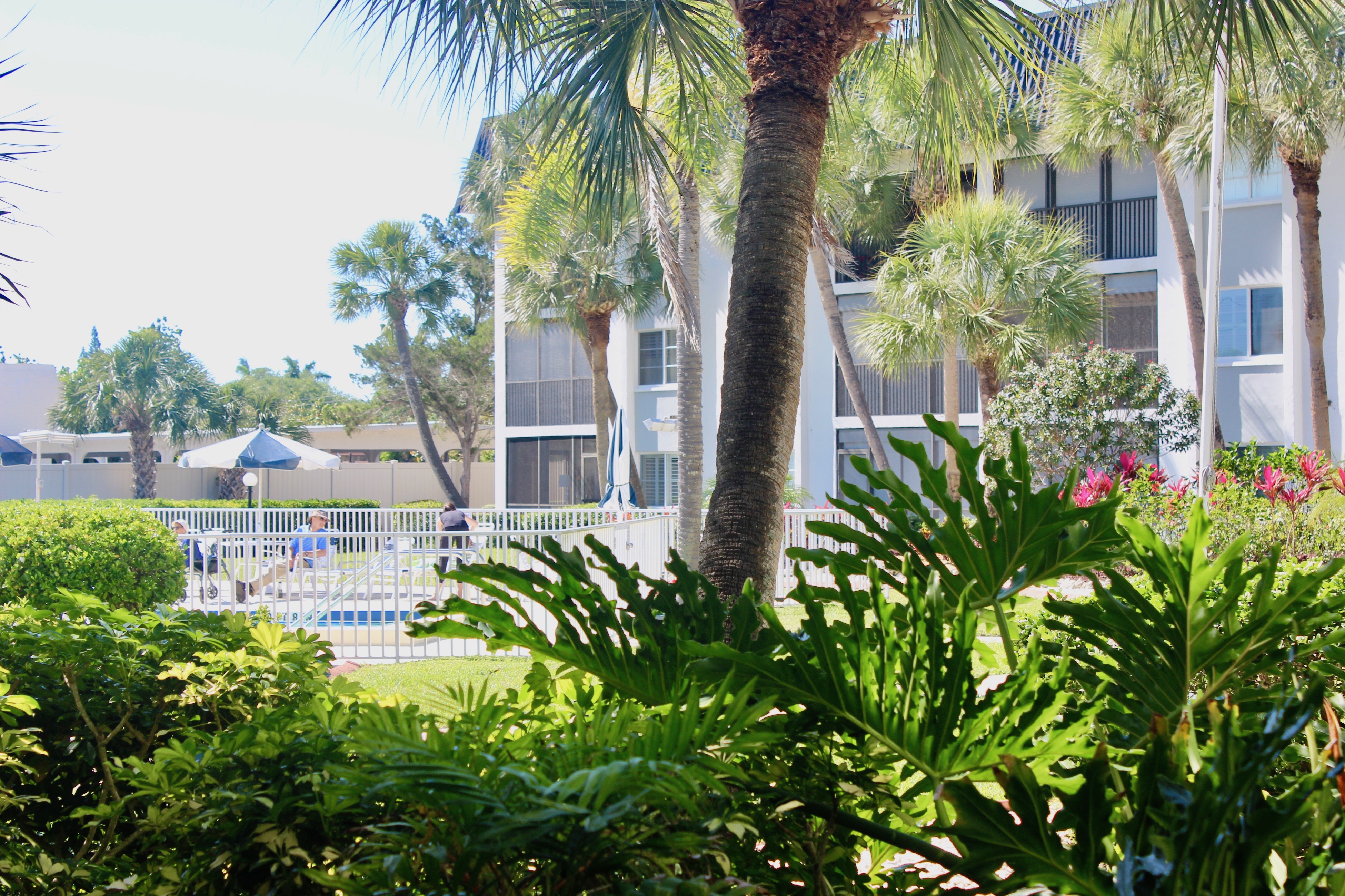 Siesta Key Condo 939452