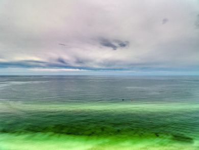 Panama City Beach Condo 939486