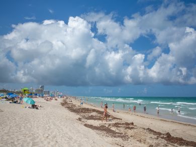 Miami Beach Condo 939491