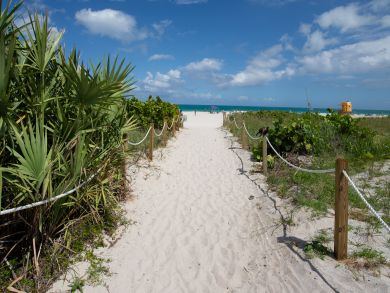 Miami Beach Condo 939491