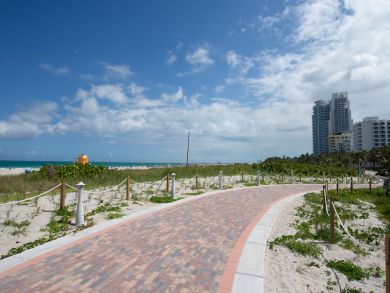 Miami Beach Condo 939491