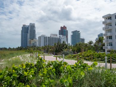 Miami Beach Condo 939491