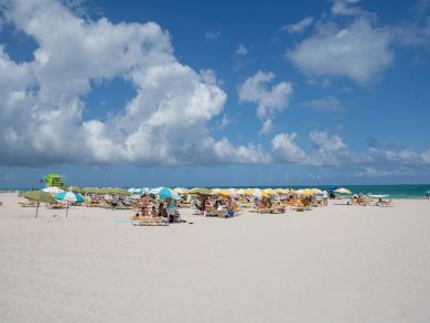 Miami Beach Condo 939491