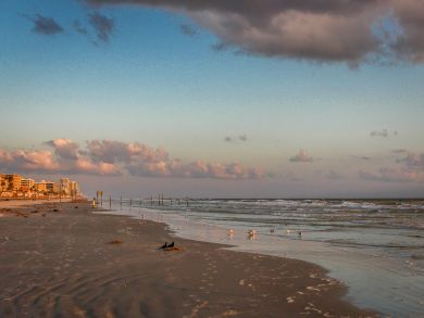 Daytona Beach Condo 939513