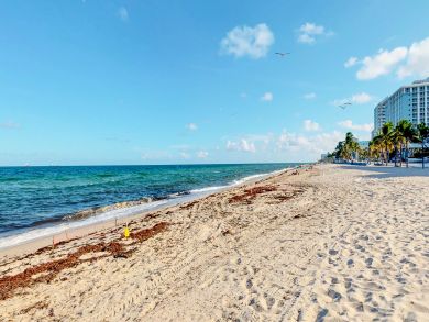 Fort Lauderdale Condo 939545