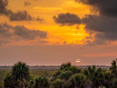 New Smyrna Beach Condo 939594
