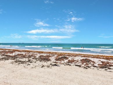 Cocoa Beach Home 939640