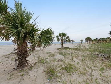Mexico Beach Home 939715