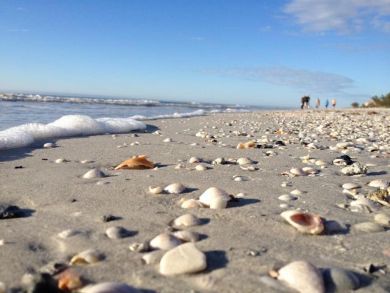 Indian Shores Ai Condo 939732