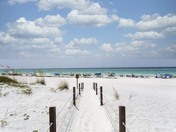 This luxury Vacation Home Sleeps 14 Pure luxury at Grayton Beach