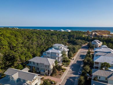 Beaches Of South Walton Home 940177