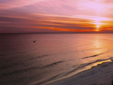 Beaches Of South Walton Condo 940192