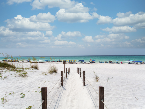 Beach Stunner Magnificent Pool Vacation Home - additional view, photo 4