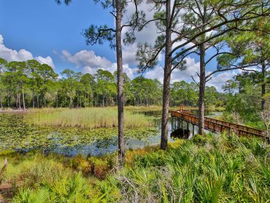 Beaches Of South Walton Condo 940234