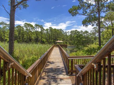 Beaches Of South Walton Condo 940234