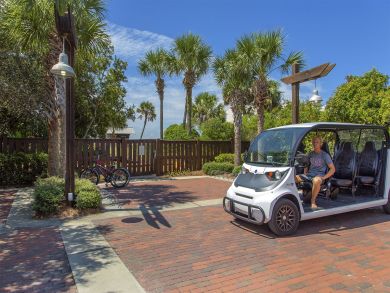 Beaches Of South Walton Condo 940234