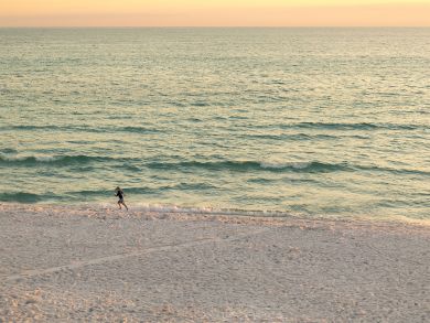 Beaches Of South Walton Home 940244